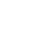 StandardFlow logo