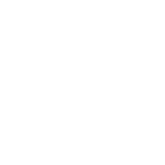 StandardFlow logo